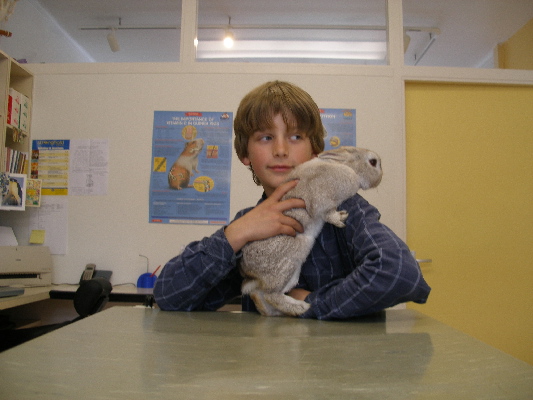 image17