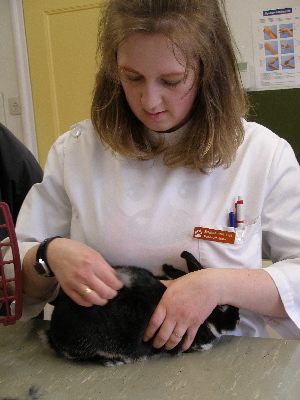 image35