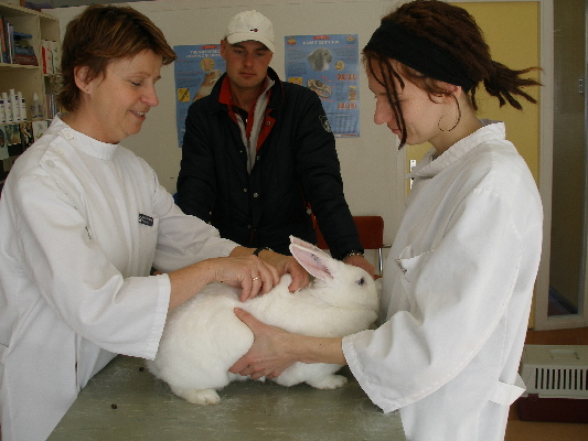 image5