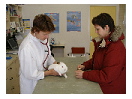 thumbnail11
