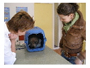 thumbnail28