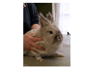 thumbnail36