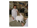 thumbnail4